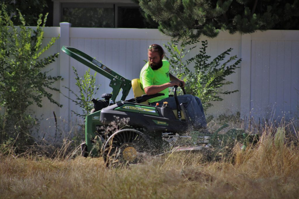 Property Maintenance 1