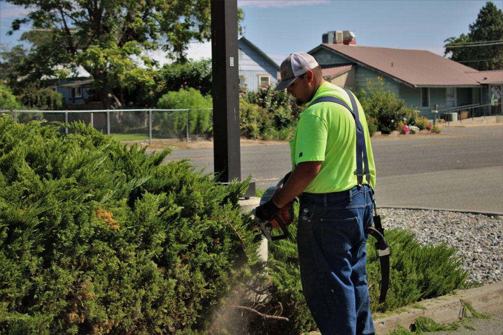 Property Maintenance 2